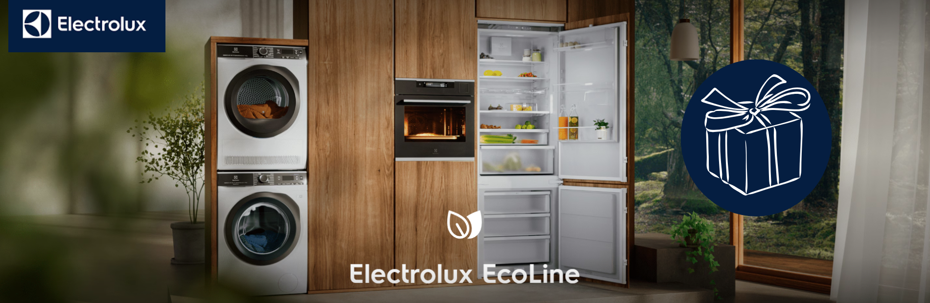 electrolux banner