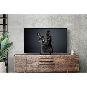 TV SAMSUNG QE65S90CATXXH